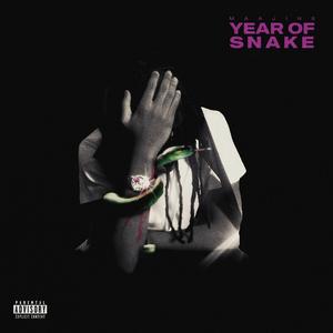 Year Of Snake