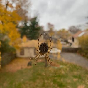 700 Quintillion Planets