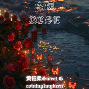 玫瑰（remix）
