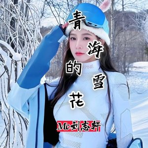 青海的雪花