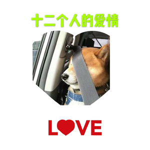 十二个人的爱情（翻自 方雅贤）