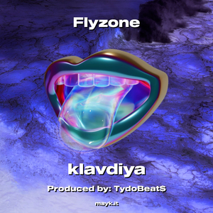 Flyzone