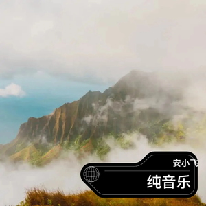 风吹麦浪（国会鼓版）（安小飞 remix）