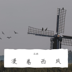 月亮代表我的心