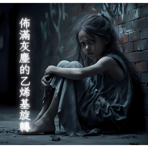 布满灰尘的乙烯基旋转