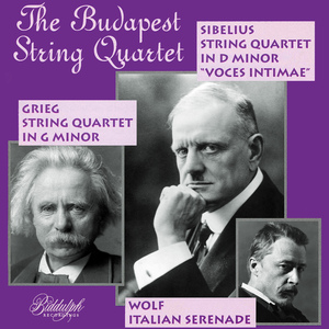 String Quartet in D Minor, Op. 56 "Voces intimae": I. Andante - Allegro molto moderato