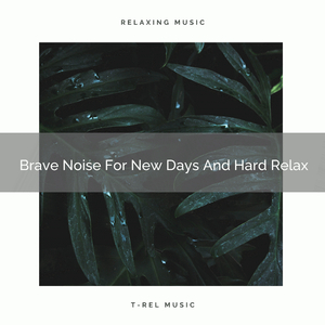 Brave Noise For New Days And Hard Work