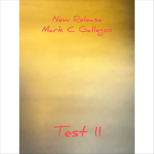 Test 11