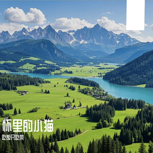 怀里的小猫-整曲