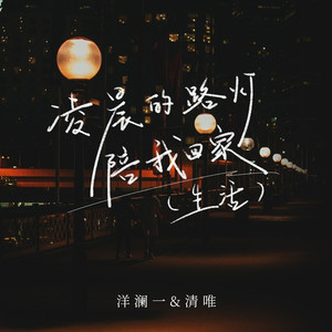 凌晨的路灯陪我回家(生活)