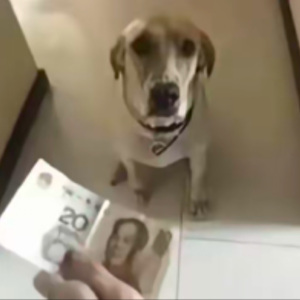 你是我所有难题的唯一例外和最终解