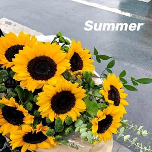 回到夏天