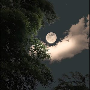 雨夜篝火的温柔交织