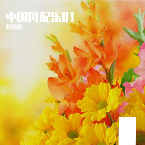 TR2_Melodic_100_Dm_Magic_FRK