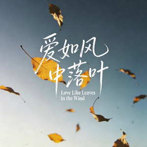 爱如风中落叶