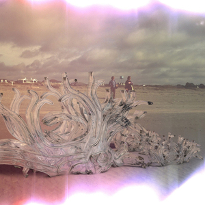 Dollyia Island Enchanted Gifts