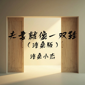 夫妻就像一双鞋(沧桑版)