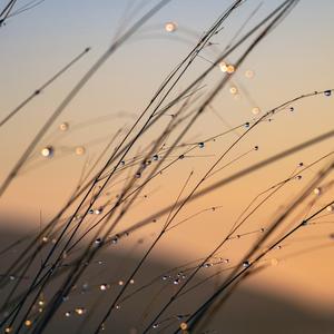 过活（抖音纯享版）