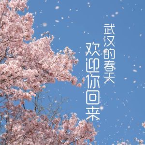 武汉的春天欢迎你回来