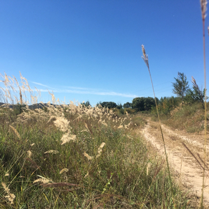 我还年轻 我还年轻（翻自 老王乐队）