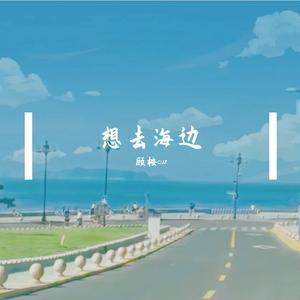 想去海边（cover：夏日入侵企画）