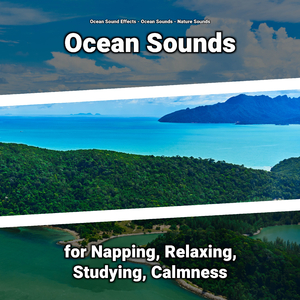 Sea Noises
