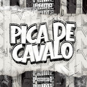 PICA DE CAVALO