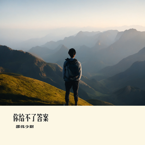 你给不了答案