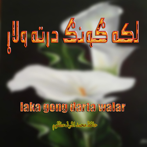 Laka Gong Darta Walar Za