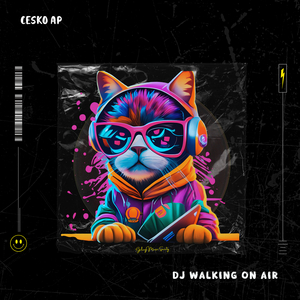 DJ Walking on Air