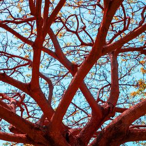 Convolution