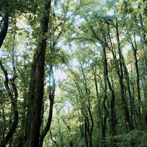 millionaire (don't sound right)