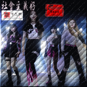 社会主义好 DJ版