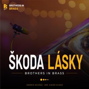 Škoda Lásky