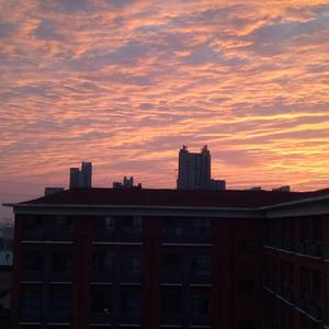 阿拉斯加的海湾