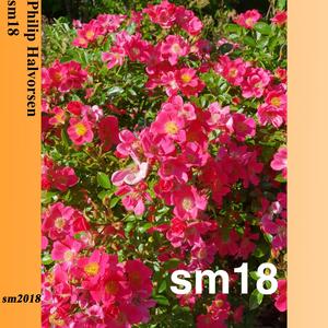 En enveis tidsreise til en ukjent virkelighet