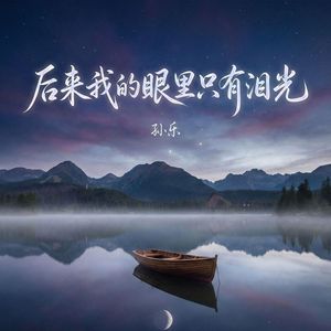 后来我的眼里只有泪光