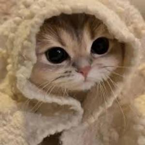 when can i see you again? (pluggnb mix)