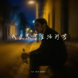 我尝尽了生活的苦 -老K（铁汉温柔情）