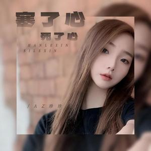 寒了心死了心 (DJ彭锐版)