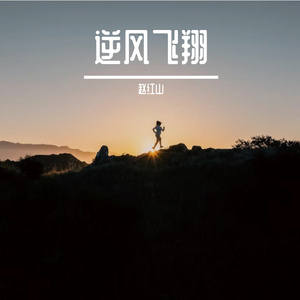 《逆风飞翔》