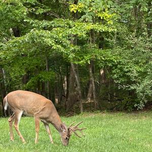 Summertime In Our Hometown