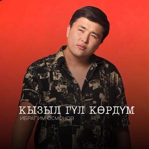 Кызыл гүл көрдүм