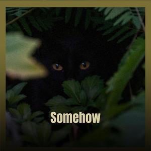 Integrated Biophysicist