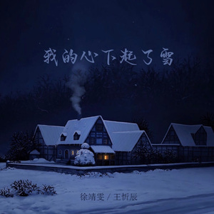 我的心下起了雪-徐靖雯_王忻辰
