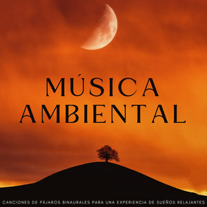 Sueño Aviar Binaural