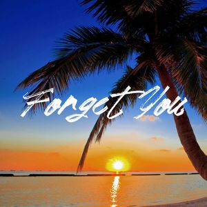 Forget You(Remix)