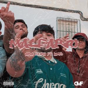 MALFARIO (feat. DMZ987)
