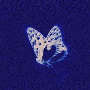 暗示分离（热播）