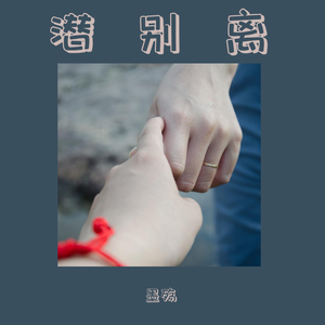 潜别离【男声版】